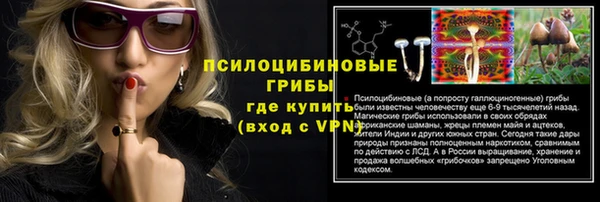 соль курить ск Ельня