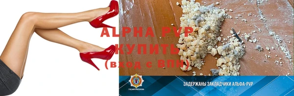 индика Елабуга