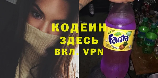 индика Елабуга