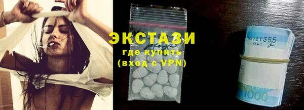 индика Елабуга