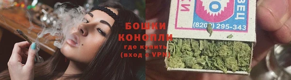 индика Елабуга