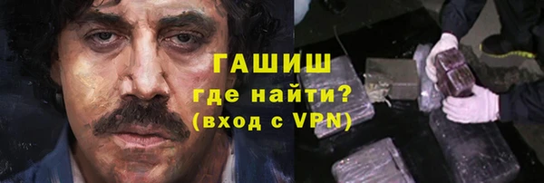 индика Елабуга