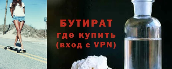 индика Елабуга
