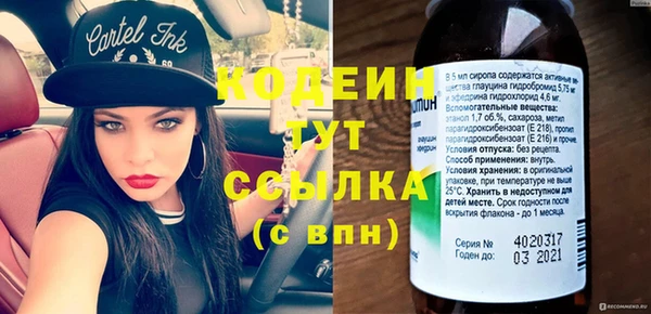 индика Елабуга