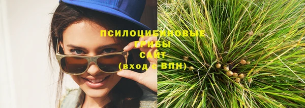 соль курить ск Ельня