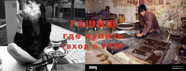 индика Елабуга