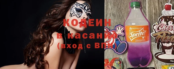 индика Елабуга