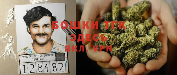 соль курить ск Ельня