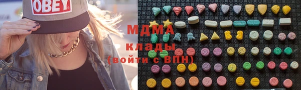 индика Елабуга