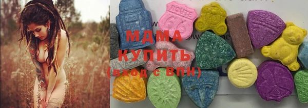 индика Елабуга