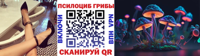 Купить  Плёс  Псилоцибиновые грибы мухоморы 